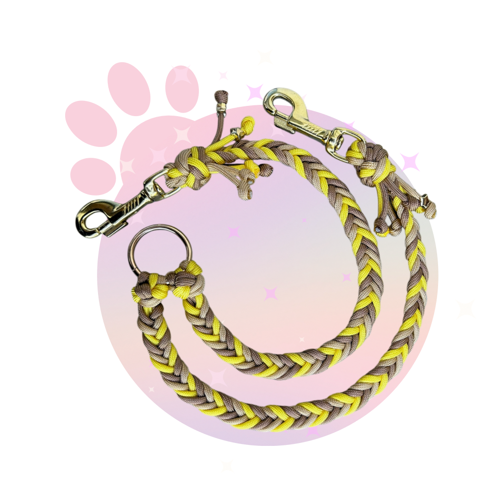 Laisse Paracorde Double ☆ Praline