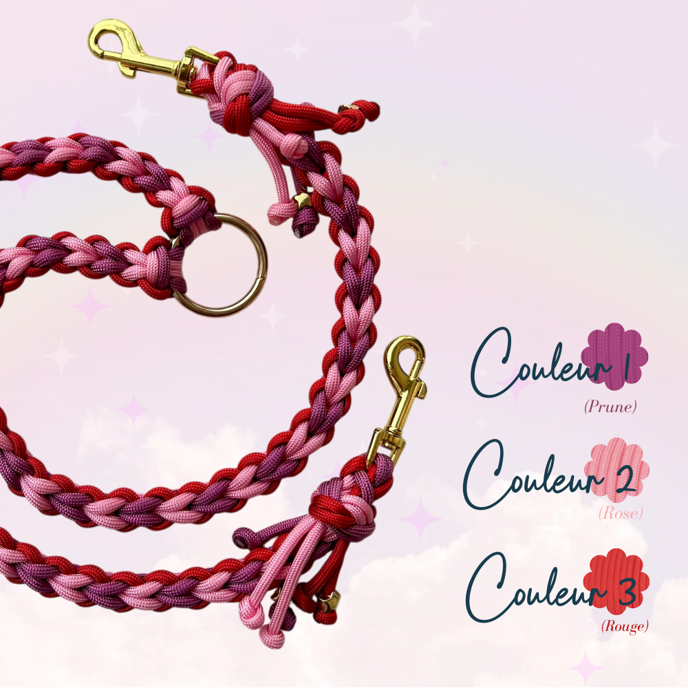 Laisse Paracorde Double ☆ Perle