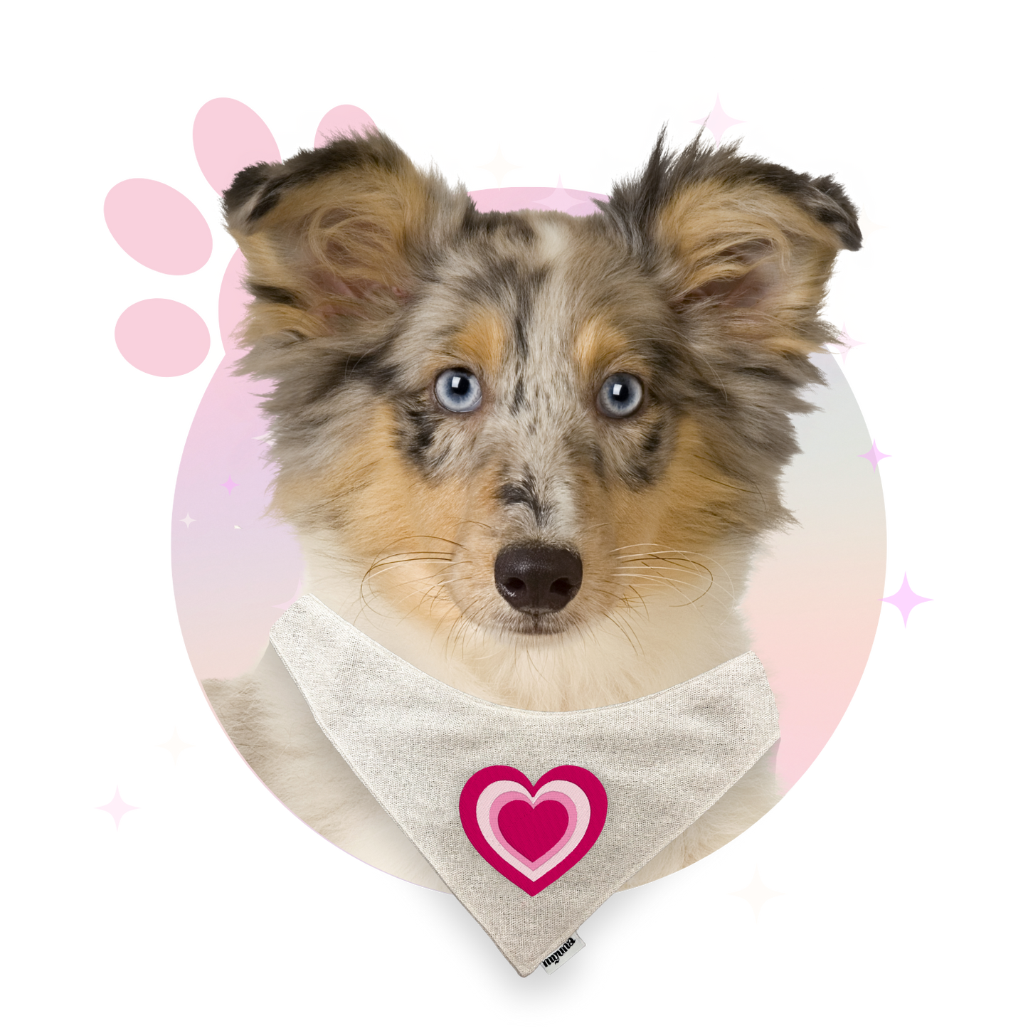 Bandana ☆ Motifs