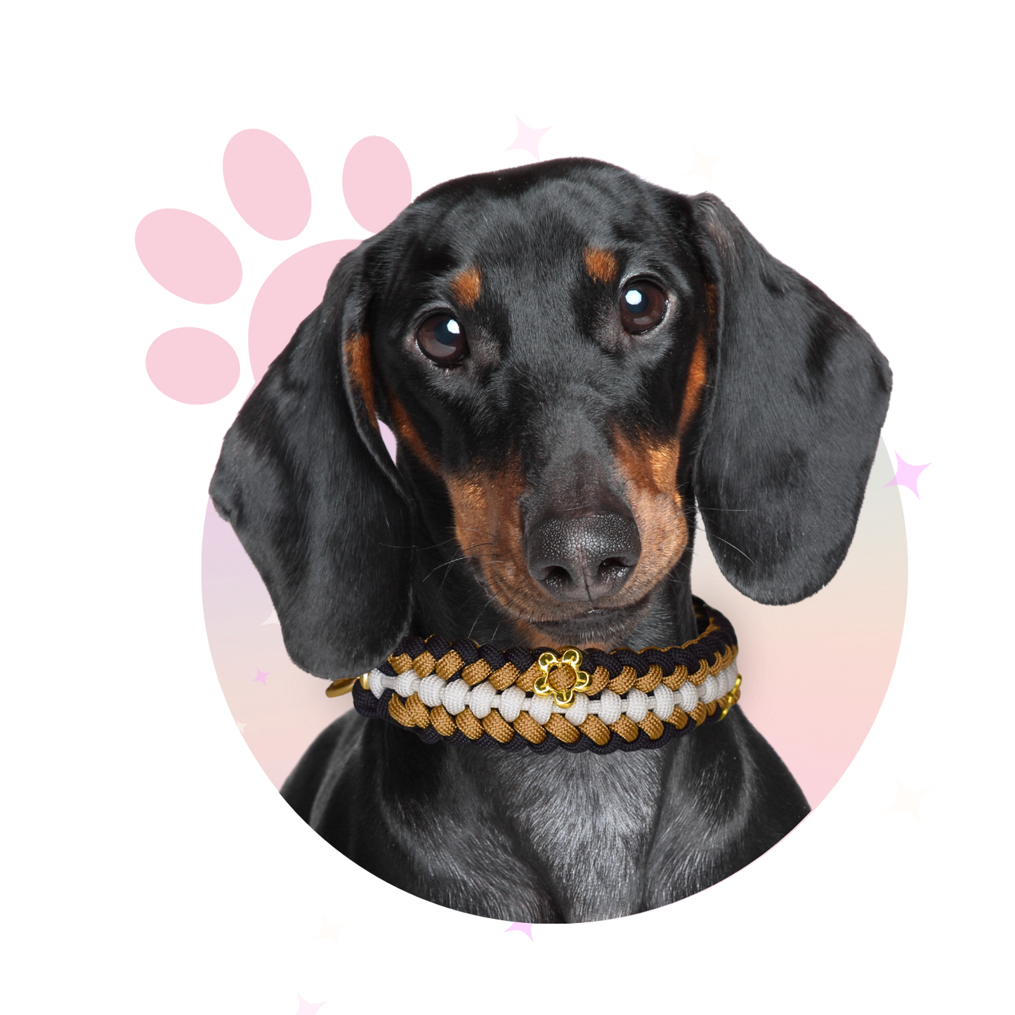Collier Paracorde ☆ Milo