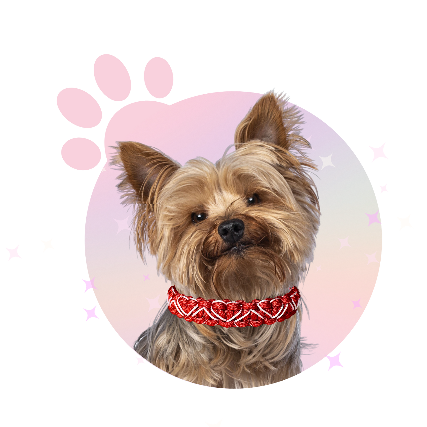 Collier Paracorde ☆ Lassie