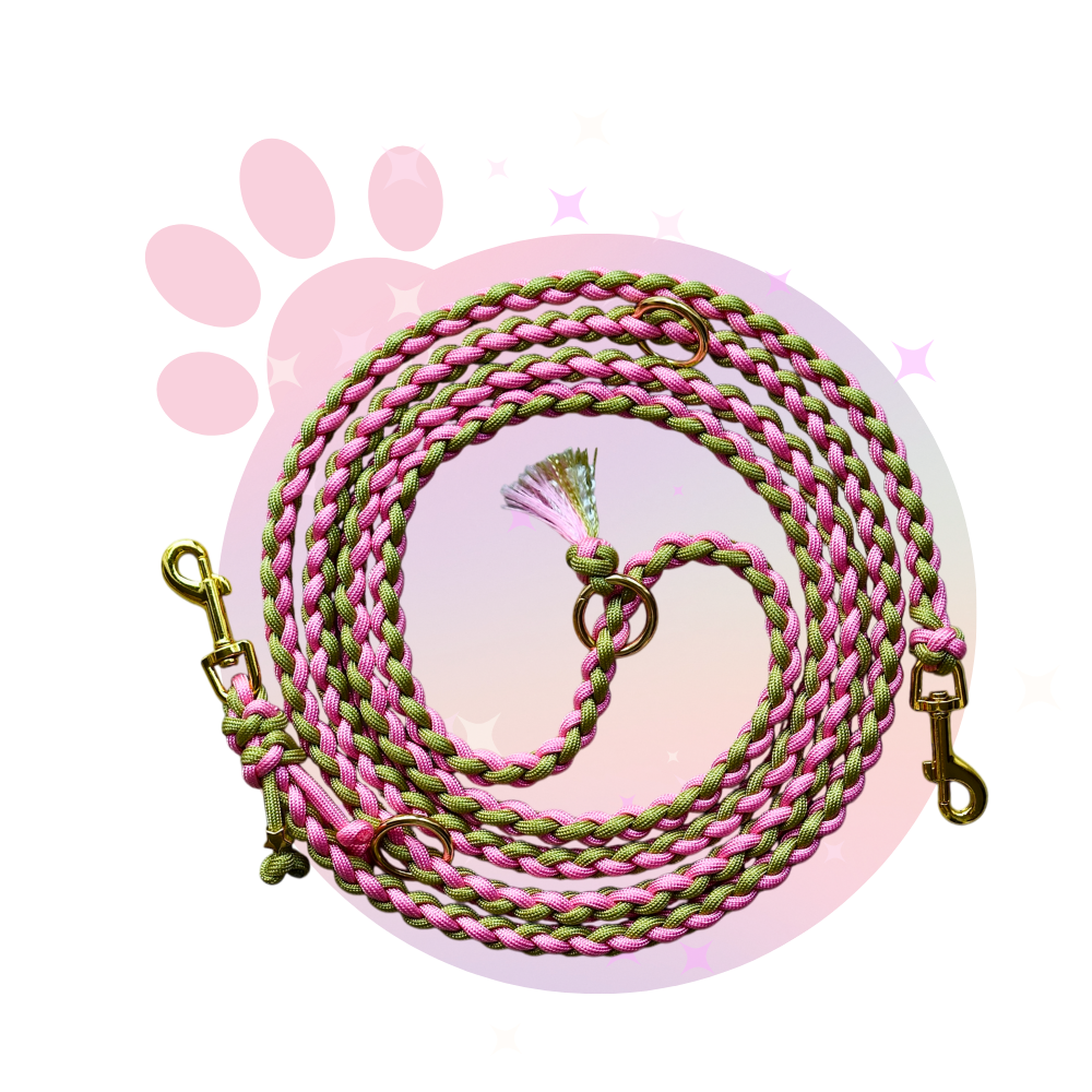 Laisse Paracorde ☆ Pinky