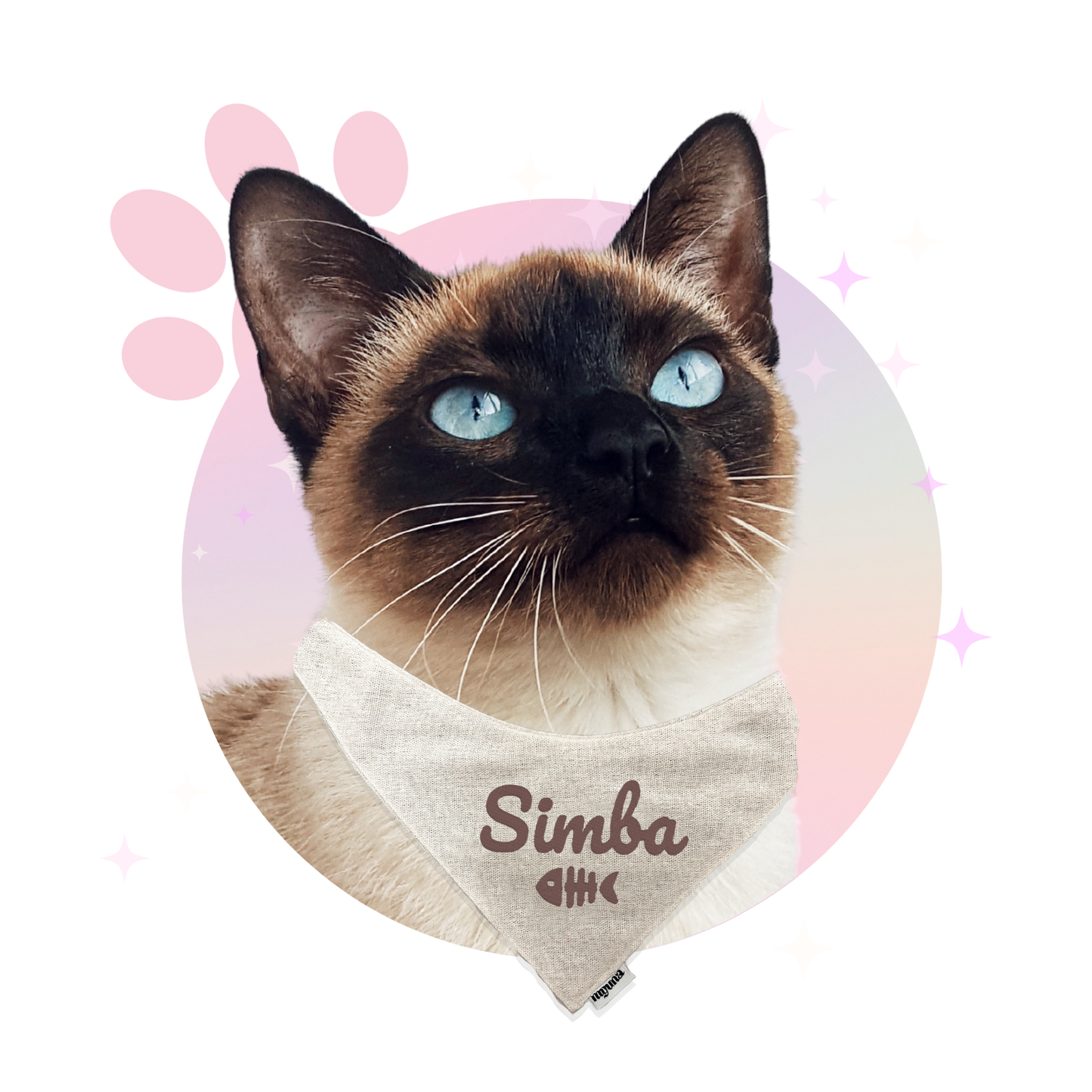 Bandana ☆ Personnalisé