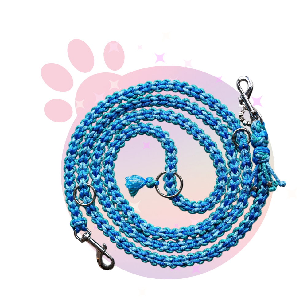 Laisse Paracorde ☆ Perle