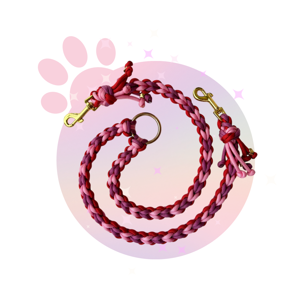 Laisse Paracorde Double ☆ Perle