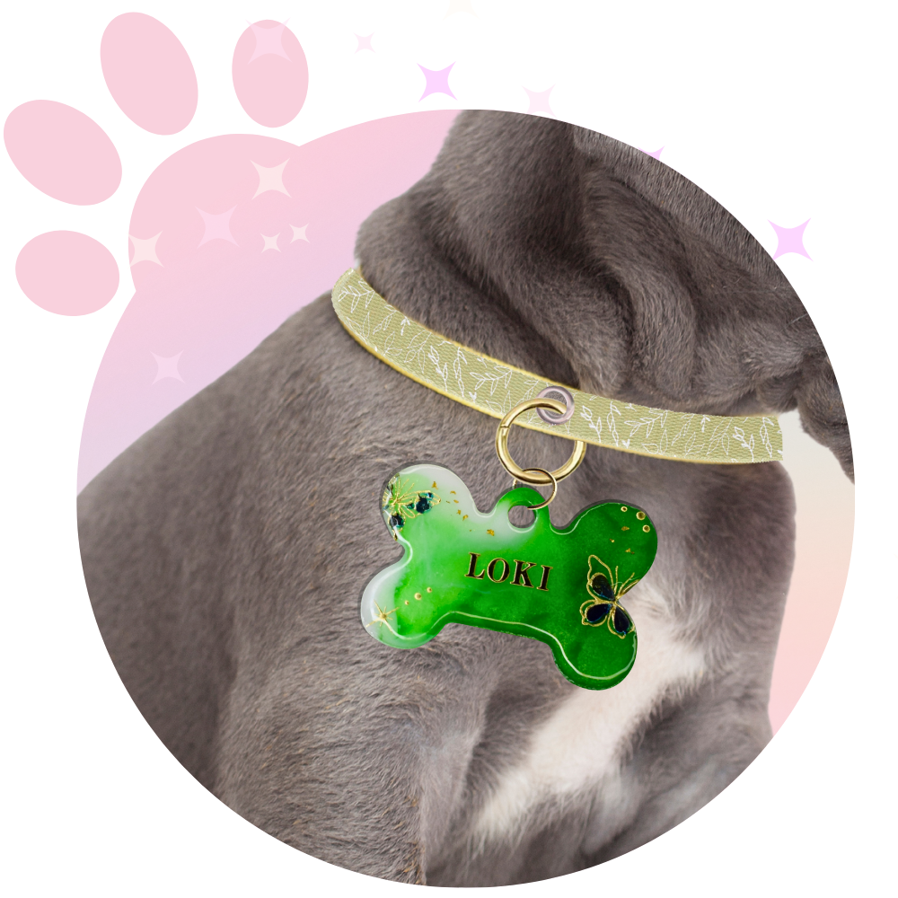 Médaille Chien ☆ Fantaisie
