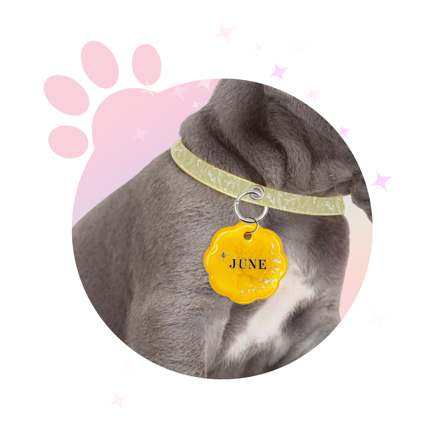 Médaille Chien ☆ Classique