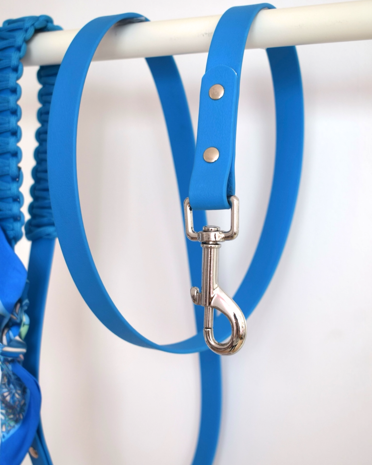 Laisse Simple ☆ Colette