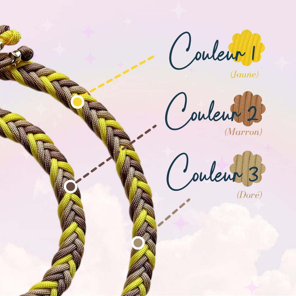 Laisse Paracorde Double ☆ Praline