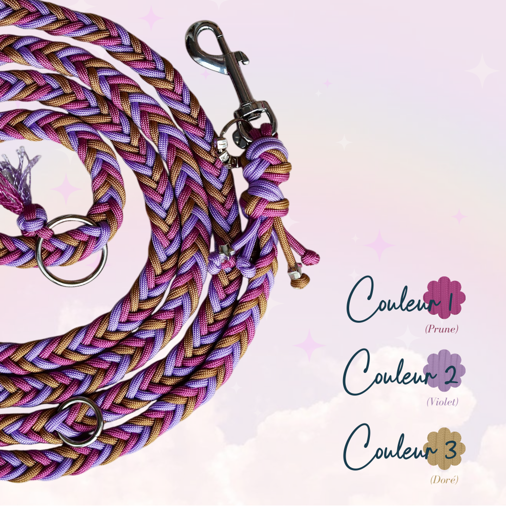 Laisse Paracorde ☆ Praline