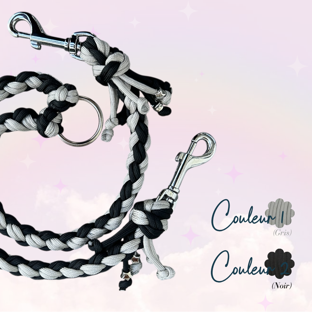 Double-laisse-chat-chien-ramses-paracorde-myuna
