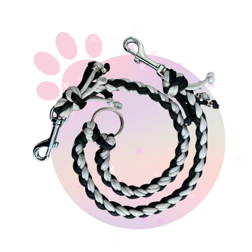 Double-laisse-chat-chien-ramses-paracorde-myuna