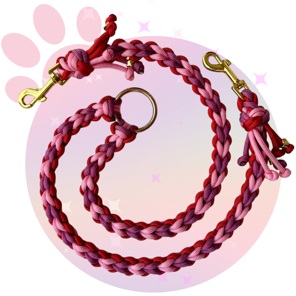 Laisse Paracorde Double ☆ Perle