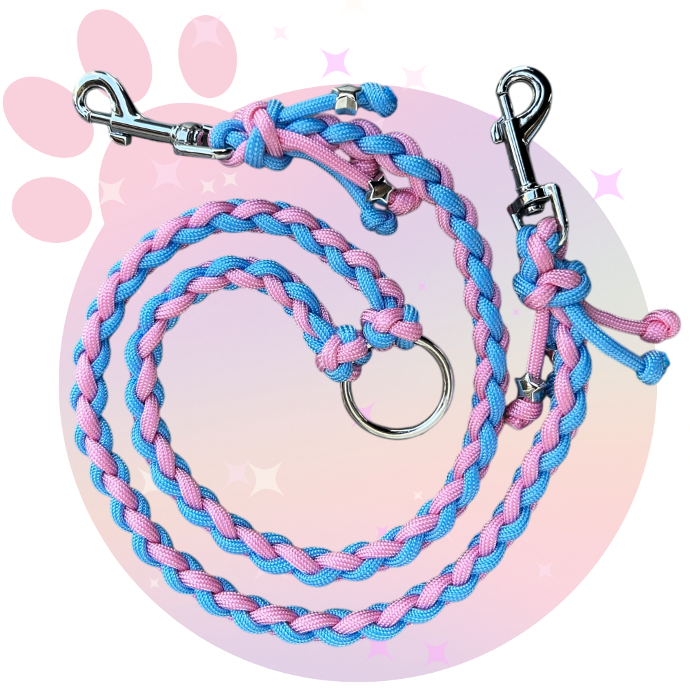 Laisse Paracorde Double ☆ Pinky
