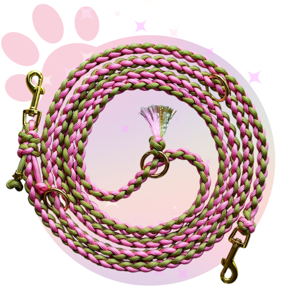 Laisse Paracorde ☆ Pinky