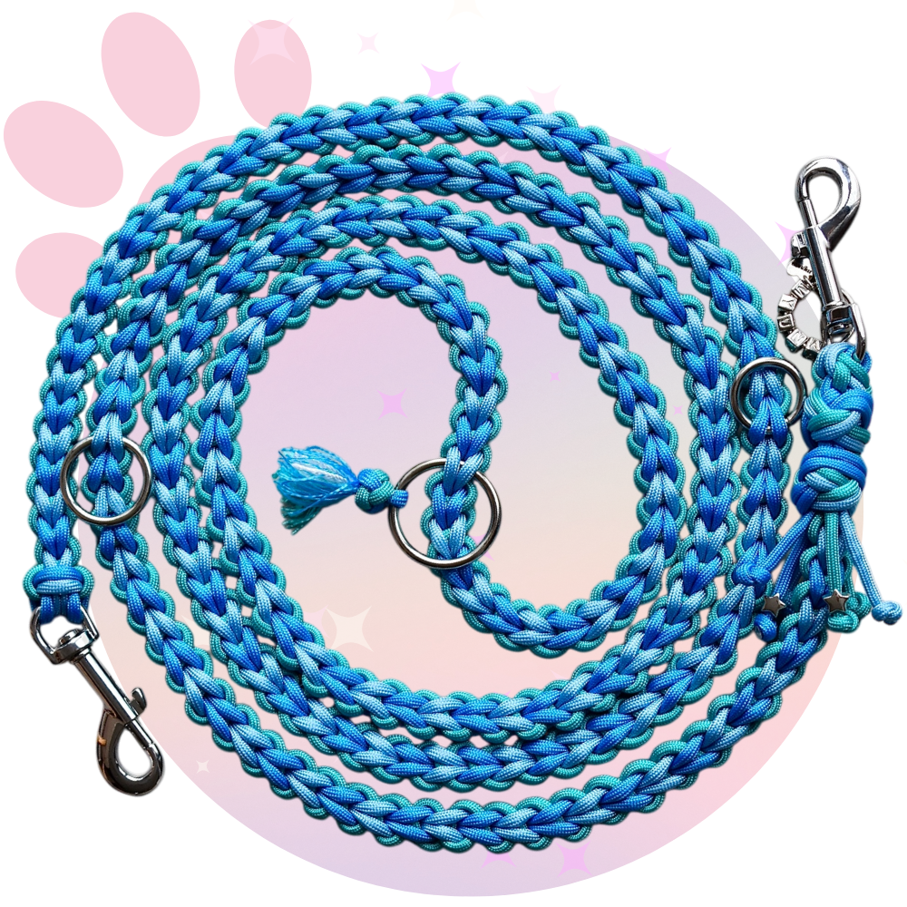 Laisse Paracorde ☆ Perle