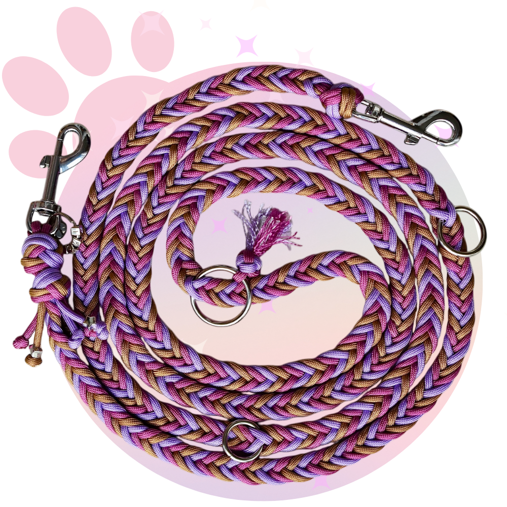 Laisse Paracorde ☆ Praline