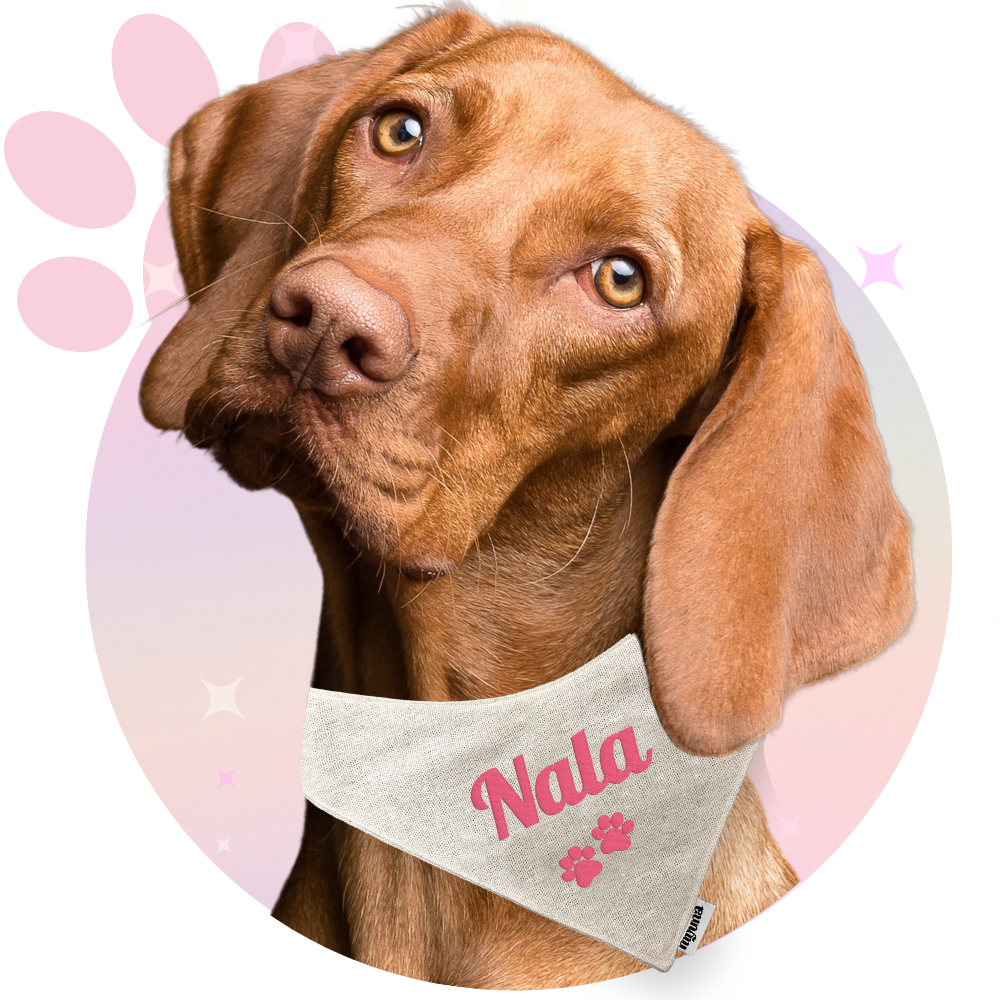 Bandana ☆ Personnalisé