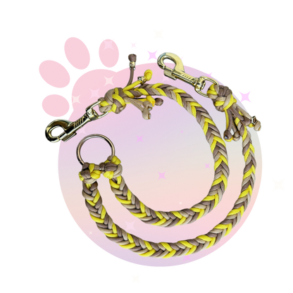 Laisse Paracorde Double ☆ Praline