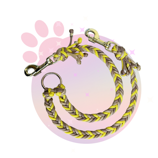Laisse Paracorde Double ☆ Praline