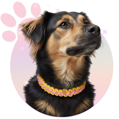 Collier Paracorde ☆ Filou