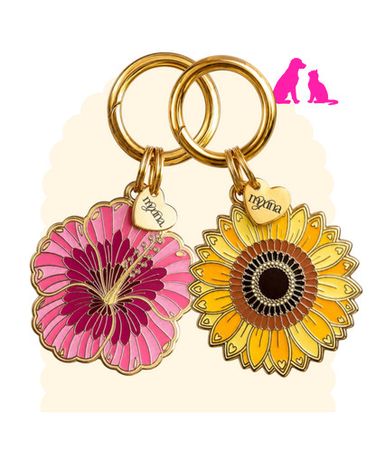 Médaille ☆ Signature