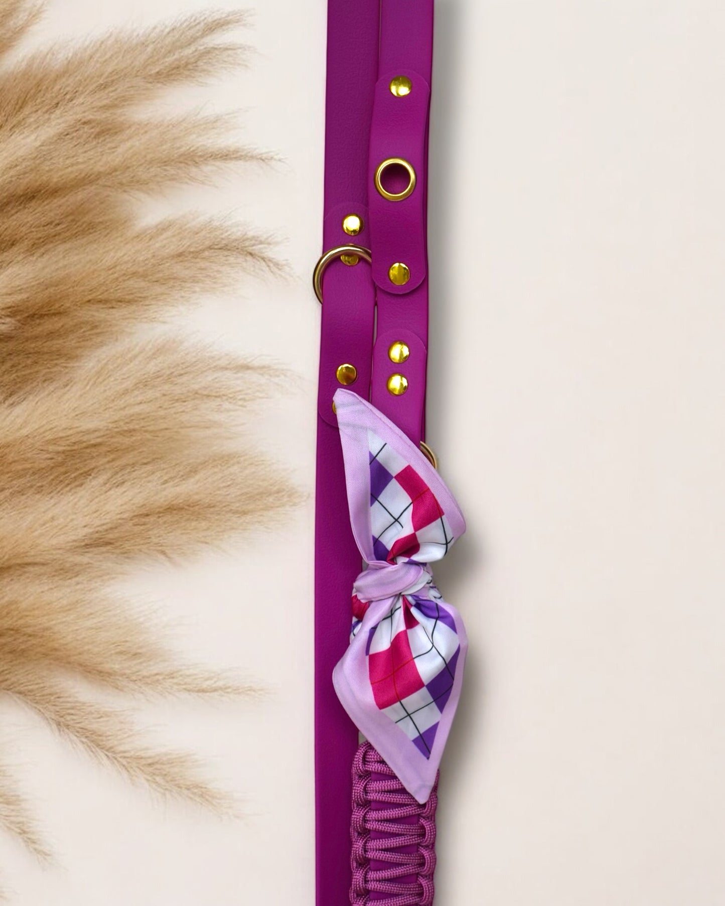 Laisse Multi positions ☆ Colette