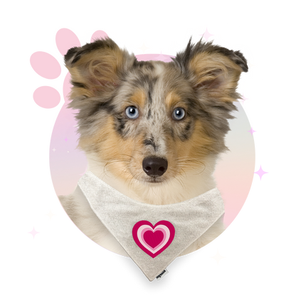 Bandana ☆ Motifs