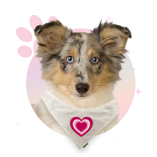Bandana ☆ Motifs