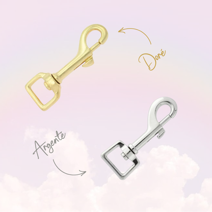 Laisse Simple ☆ Colette