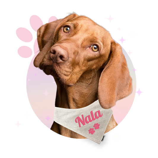Bandana ☆ Personnalisé