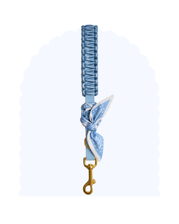 Poignée ☆ Colette