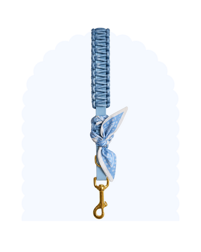 Poignée ☆ Colette