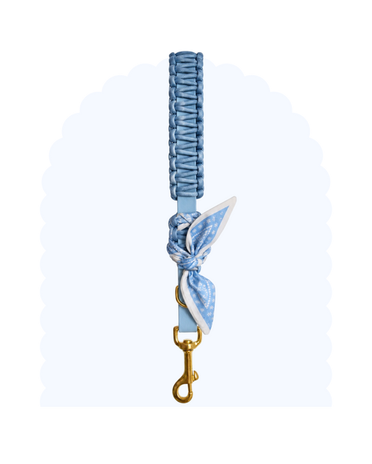 Poignée ☆ Colette