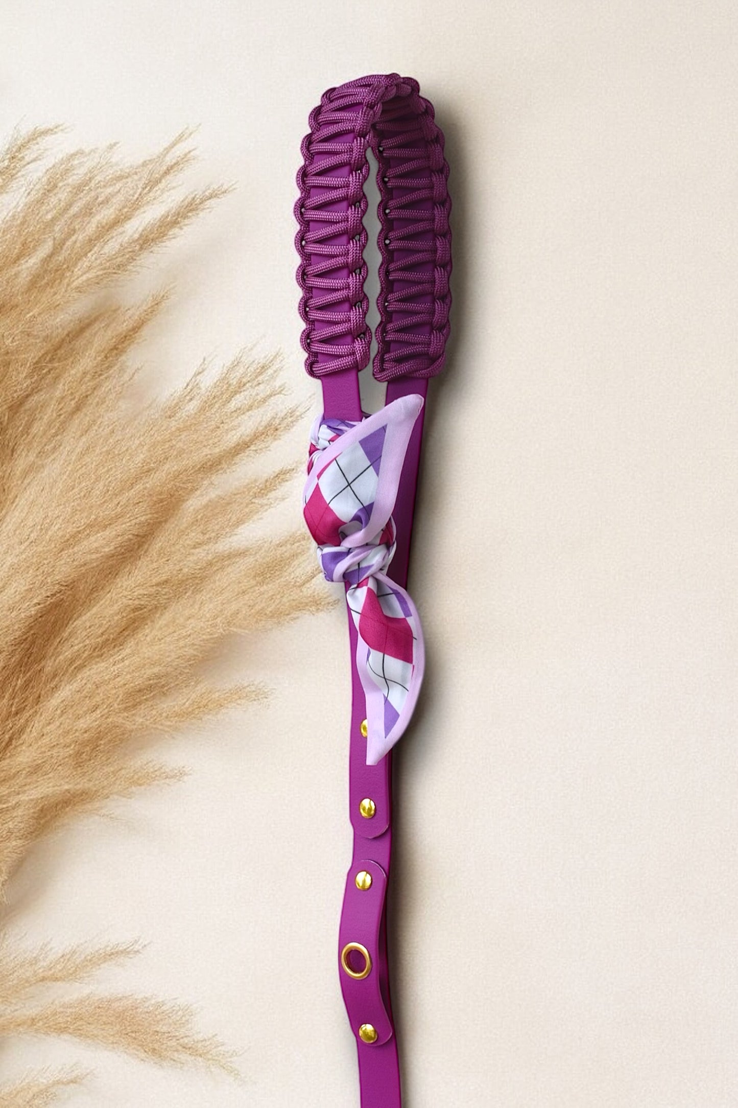 Laisse Simple ☆ Colette