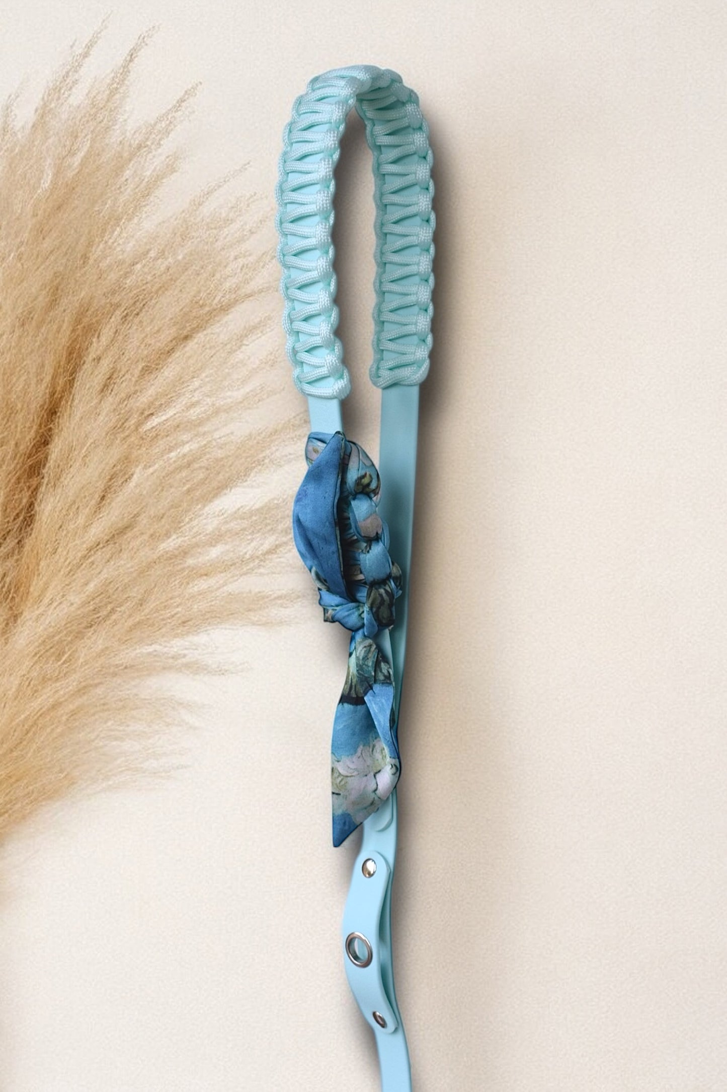 Laisse Simple ☆ Colette