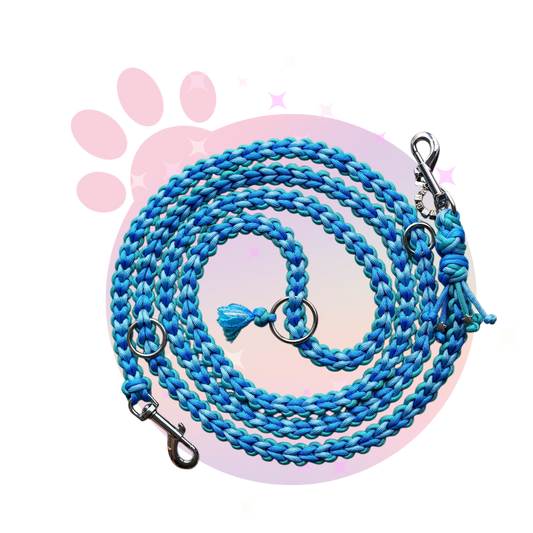 Laisse Paracorde ☆ Perle