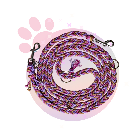 Laisse Paracorde ☆ Praline