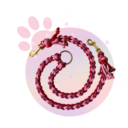 Laisse Paracorde Double ☆ Perle