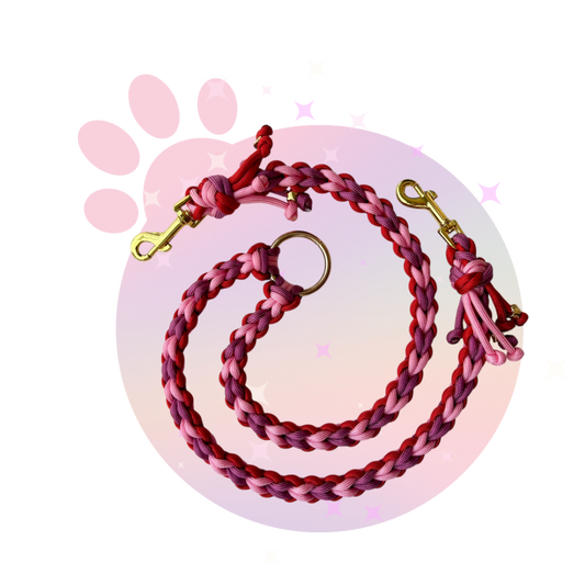 Laisse Paracorde Double ☆ Perle