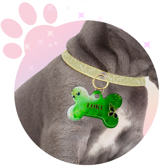 Médaille Chien ☆ Fantaisie