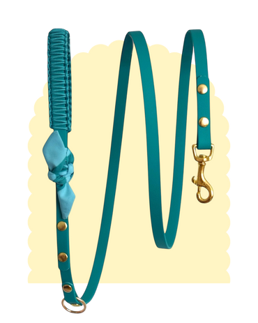 Laisse Simple ☆ Suzette