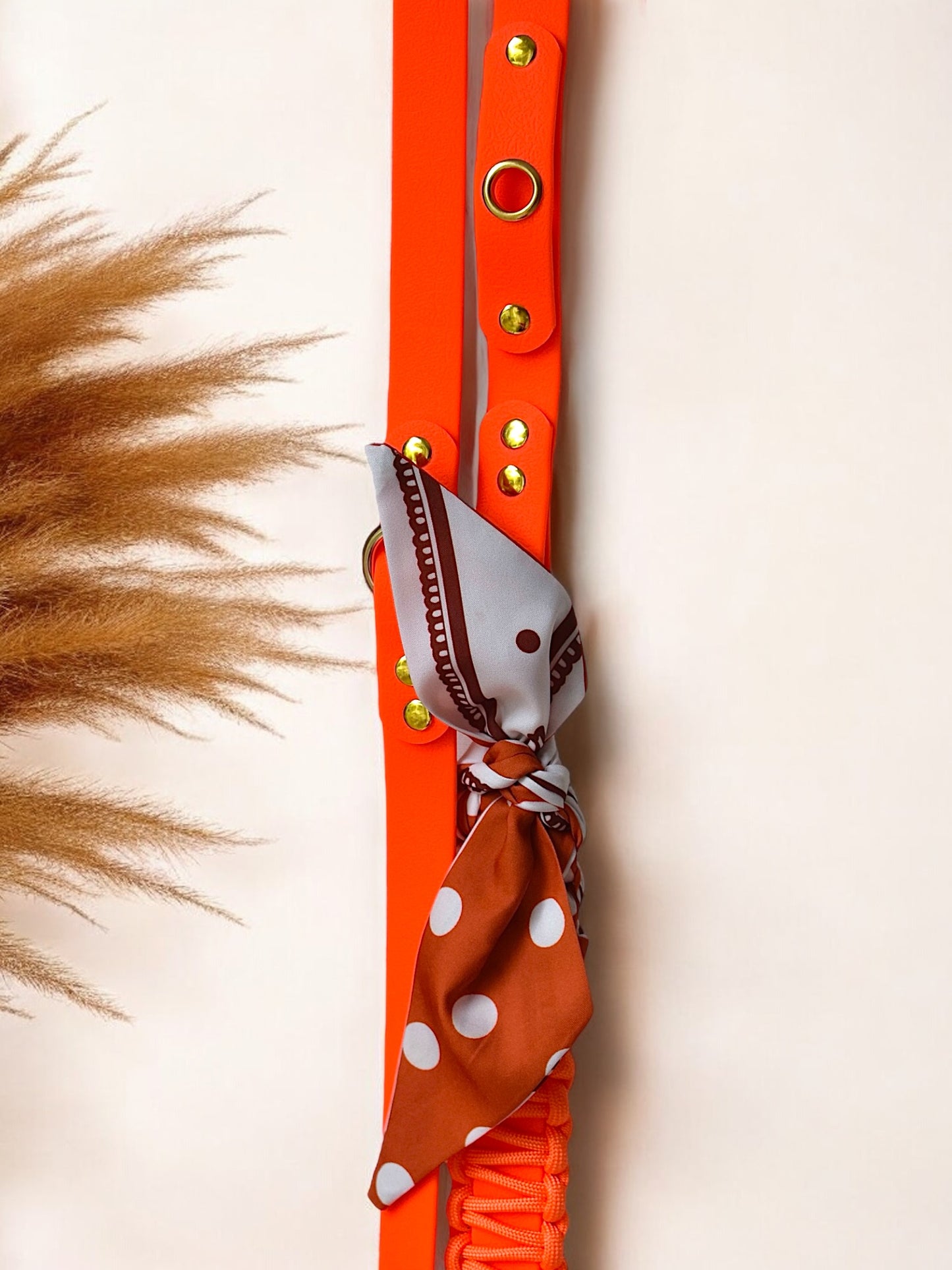 Laisse Multi positions ☆ Colette