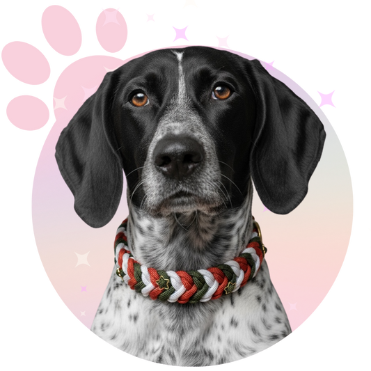 Collier Paracorde ☆ Sally