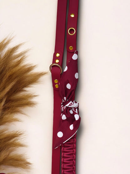 Laisse Multi positions ☆ Colette