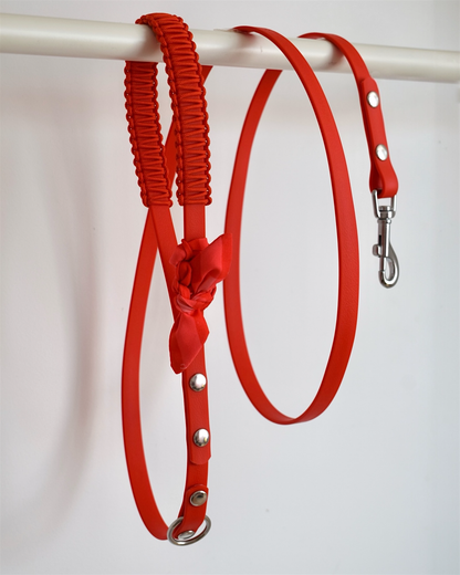 Laisse Simple ☆ Suzette
