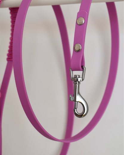 Laisse Simple ☆ Suzette
