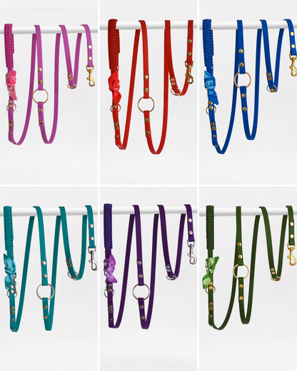 Laisse Multi positions ☆ Suzette