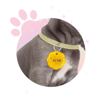 Médaille Chien ☆ Classique