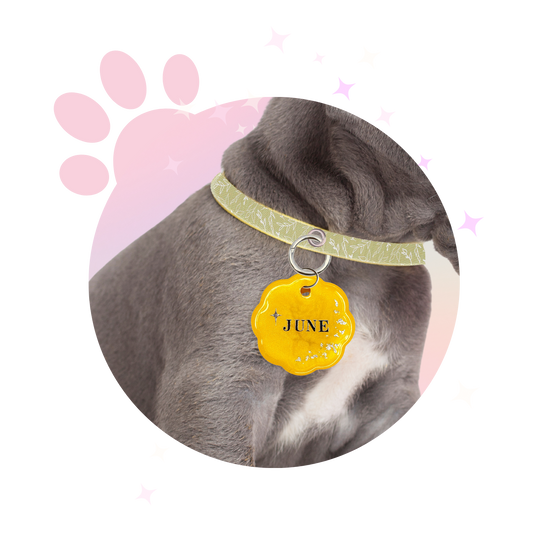 Médaille Chien ☆ Classique